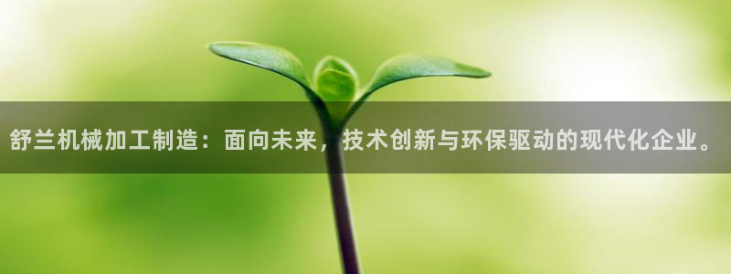 万事达娱乐P妙441200