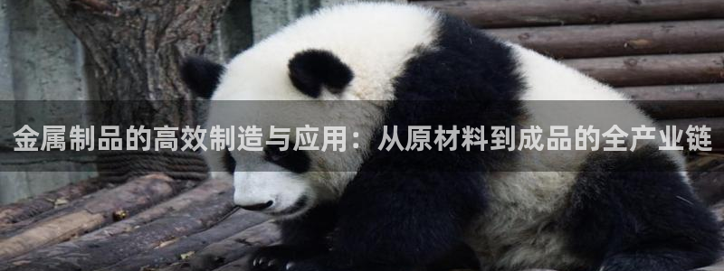 娱乐江湖万事通