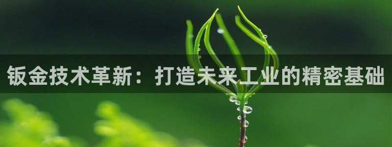 万事达娱乐连55312