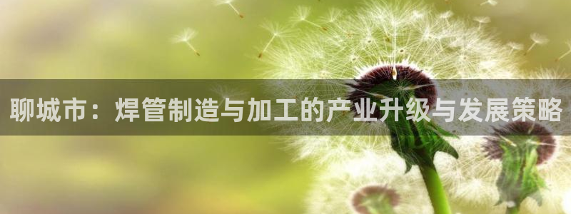 万事娱乐招商加盟电话