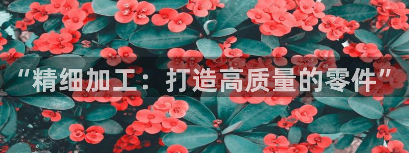 万事娱乐平台注册地址