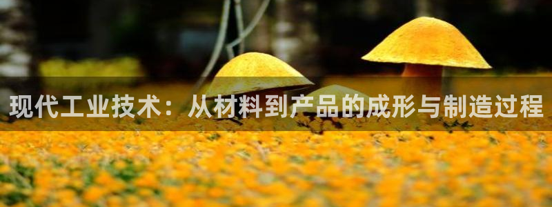 万事大吉娱乐项目