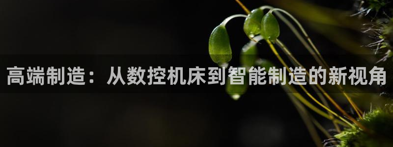 万事娱乐是什么平台