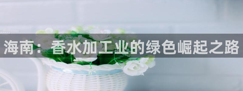 万事娱乐登录地址查询