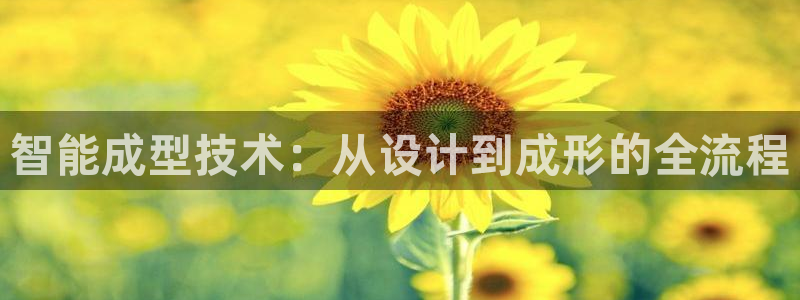 万事娱乐主管招聘信息